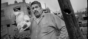 Cast_lead_Gaza_2009_18